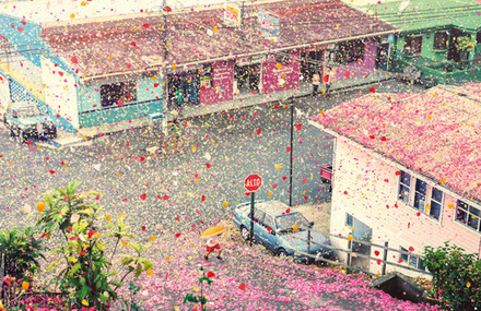 A Rain of Flowers for Sony Bravia