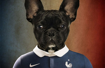 Dogs of World Cup Brazil 2014