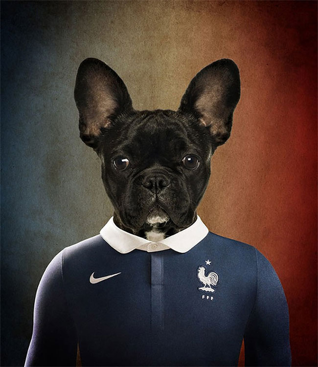 Dogs of World Cup Brazil 20141
