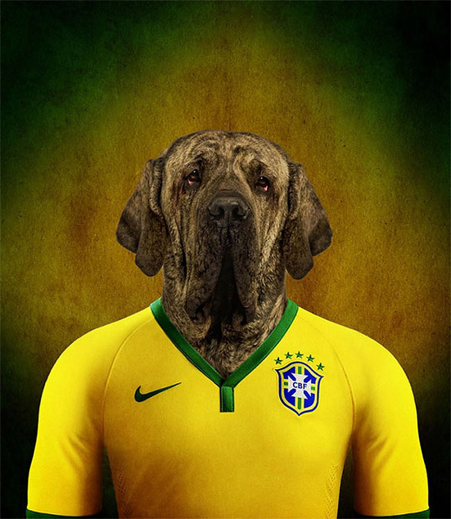 Dogs of World Cup Brazil 201412