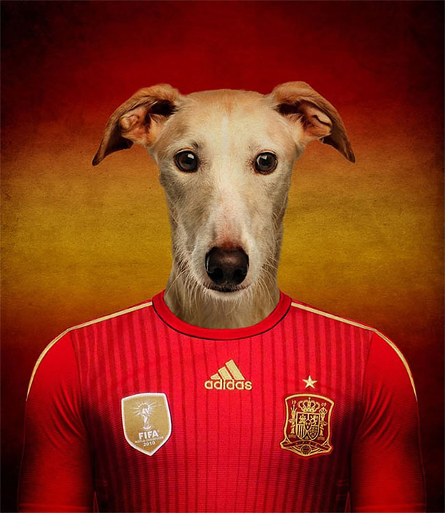 Dogs of World Cup Brazil 201413