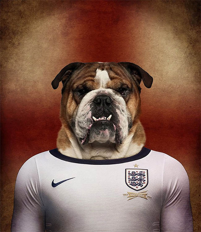 Dogs of World Cup Brazil 201414