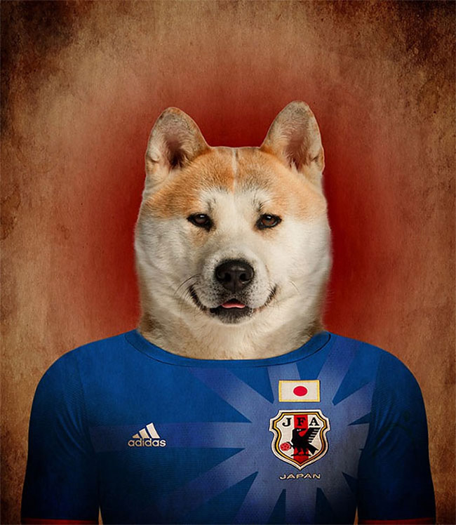 Dogs of World Cup Brazil 20141a