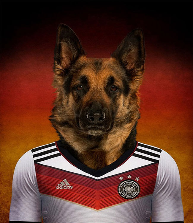 Dogs of World Cup Brazil 20142