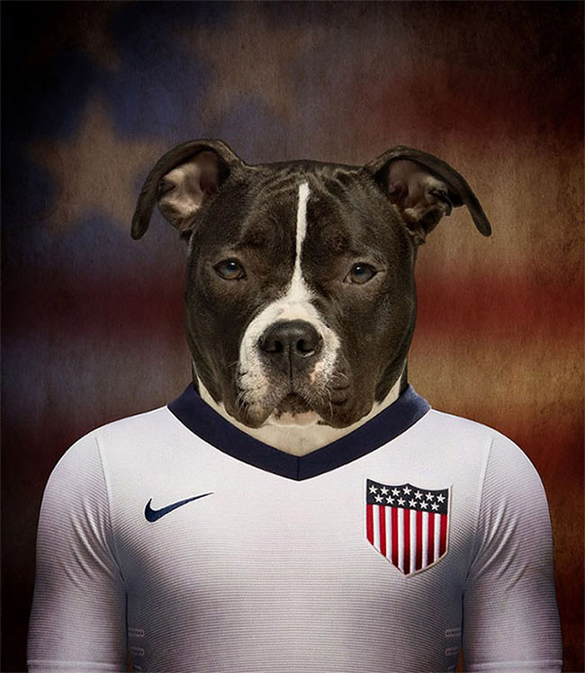Dogs of World Cup Brazil 20144