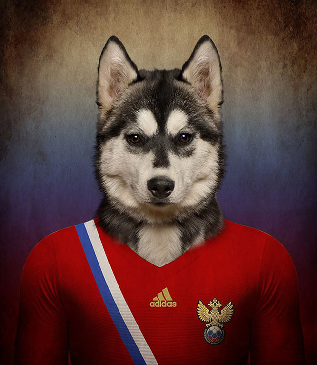 Dogs of World Cup Brazil 20145