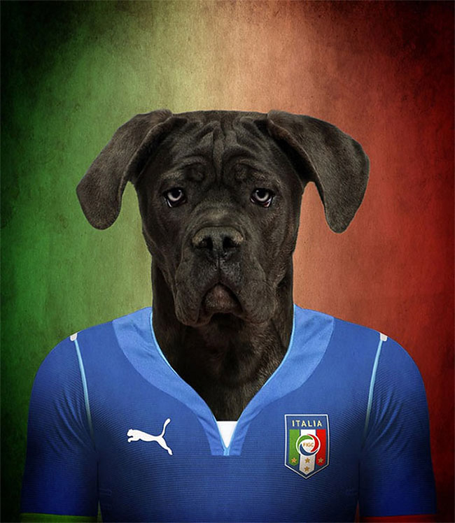 Dogs of World Cup Brazil 20146