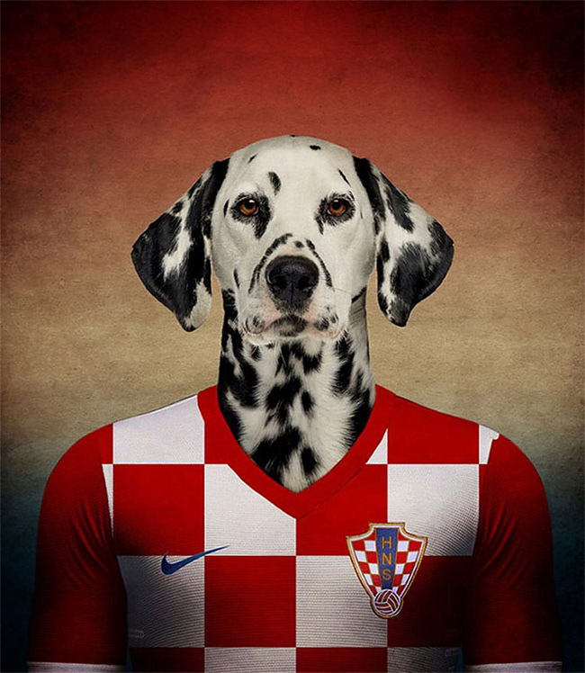 Dogs of World Cup Brazil 20147