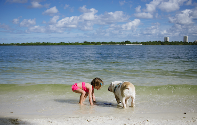 Friendship Between a Young Girl and a dog 19