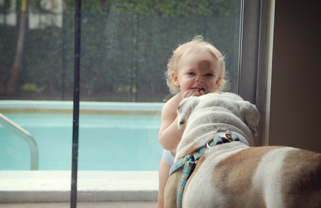 Friendship Between a Young Girl and a dog 2