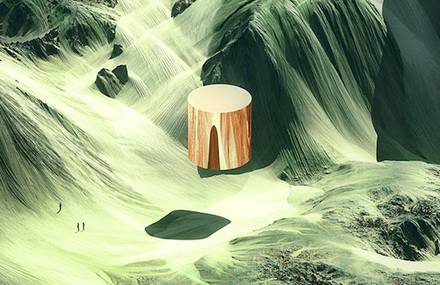 Shapes in Nature