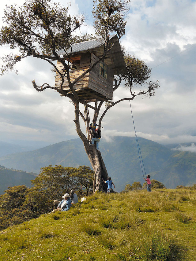 The Crazy Swing At Casa Del Arbol 5