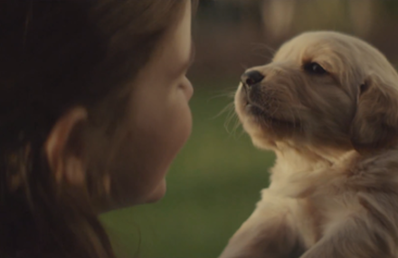 Chevrolet – The Love of a Dog
