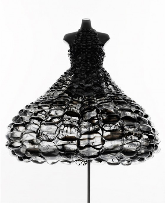 Fashion Clothes in Balloons Media