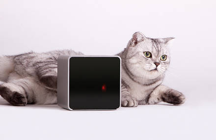Petcube brings you closer to your pet