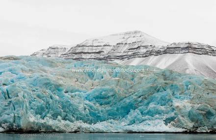 Nature en danger : l’Arctique