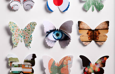 Papillons Graphiques: The Graphical Butterfly Collection