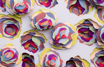 Amazing 3D Paper Patterns