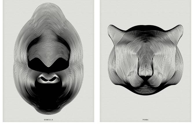 Drawing Animals using Moirée Patterns