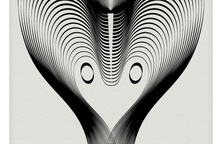 Drawing Animals using Moirée Patterns
