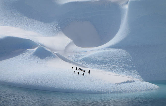 Smithsonian Photo Contest Finalists 2014