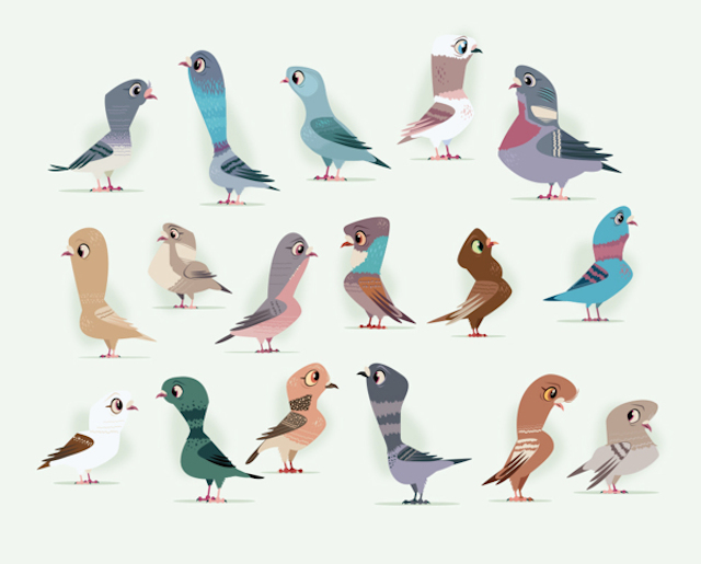 Birds And Cages Illustrations 6
