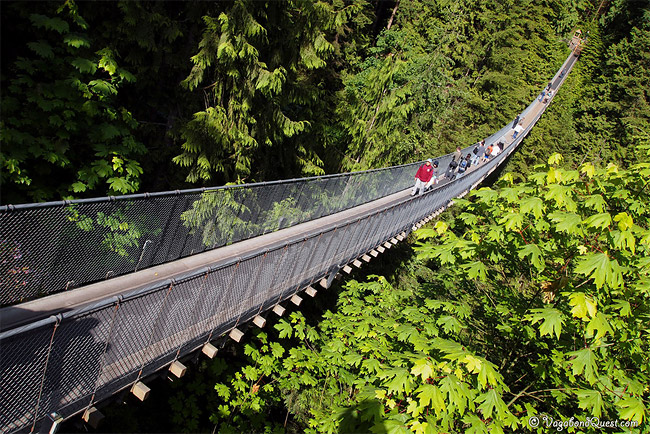 Capilano Suspension Bridge in Nort Vancouver4