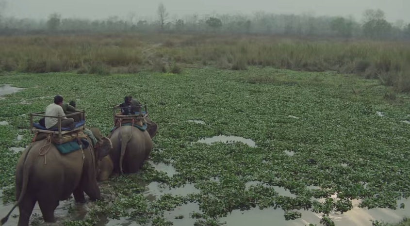 Google Glass Into The Wild1