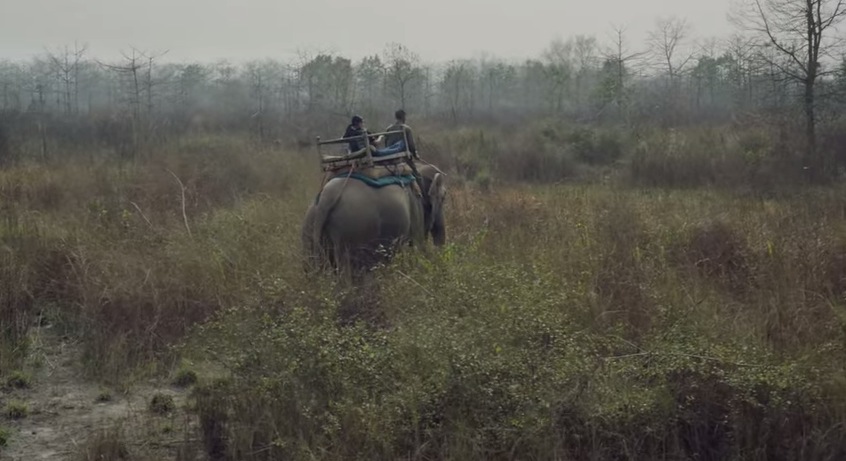 Google Glass Into The Wild4