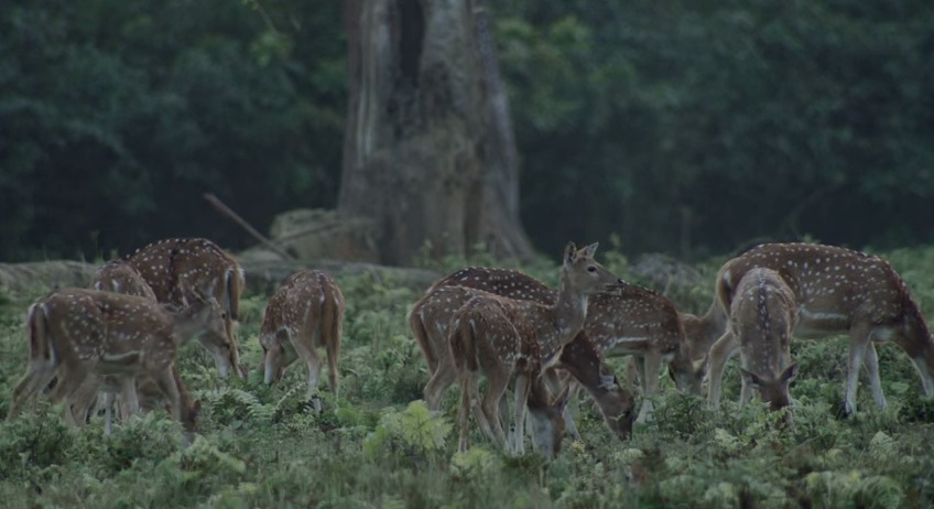 Google Glass Into The Wild6