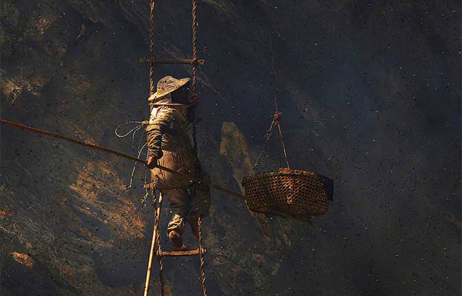 Honey Hunters of Nepal