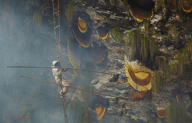 Honey Hunters of Nepal