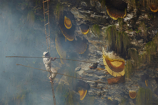 Honey Hunters of Nepal2