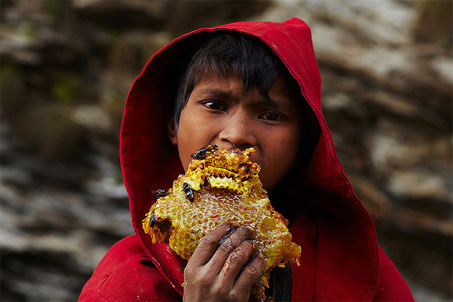 Honey Hunters of Nepal3