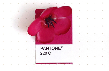 Tiny Objects Pantone