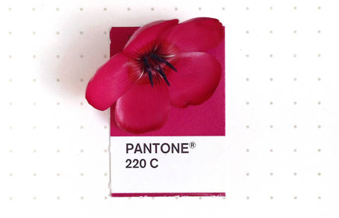 Tiny Objects Pantone