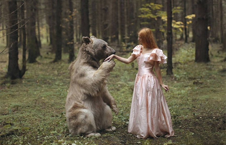 Surreal Photography with Real Animals