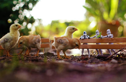 The Adventures of Star Wars Figurines in Nature