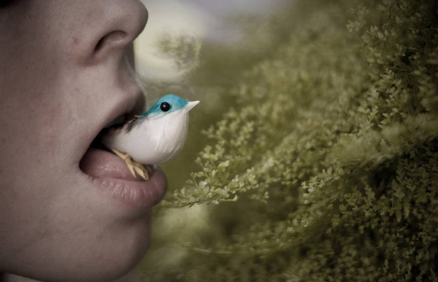 Tuane Eggers Photography
