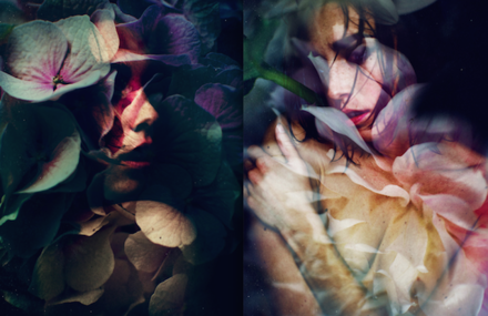 Double Exposure of Flowers by Lara Kiosses