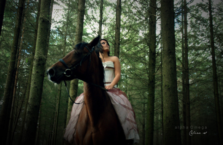 Lonely Princess