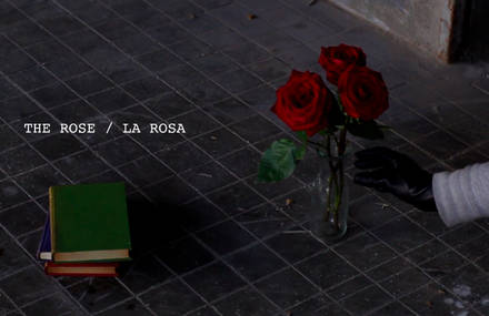 Happy Sant Jordi People!