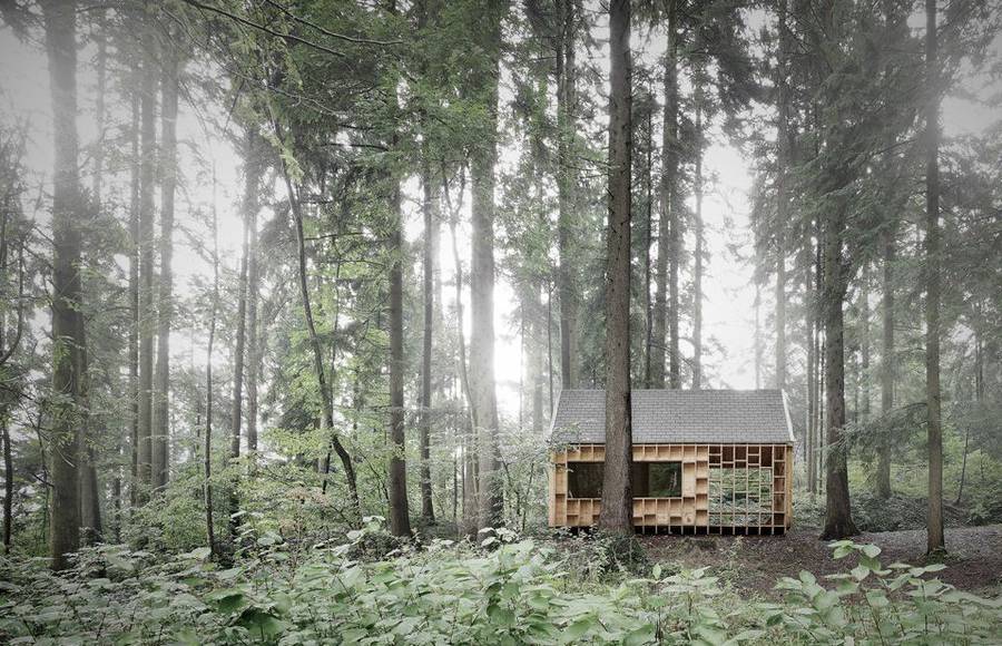 Wooden House In The Middle of The Forest