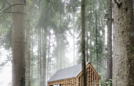 Wooden House In The Middle of The Forest