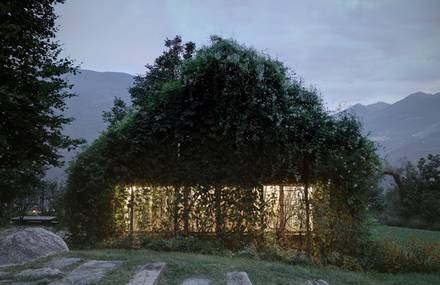 Green Box de Act-Romegialli