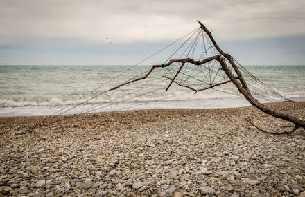 ] HUMAN NEEDS [ by Bruno Cerasi