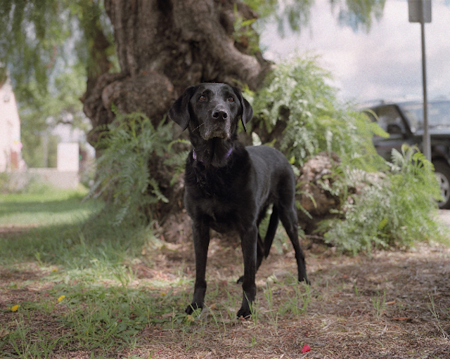 Abigail-Ojai-CA