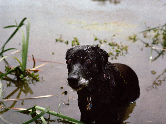 Bailey-Franklin-TN