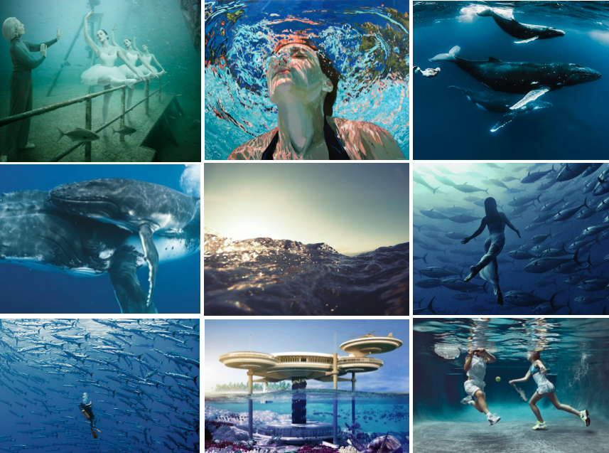 Best-of Underwater Photography on Fubiz