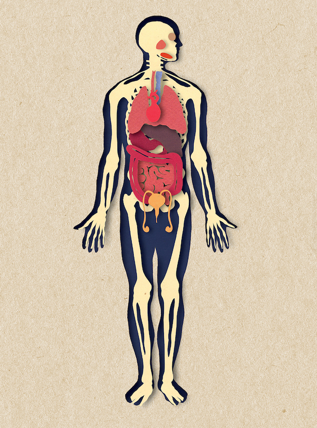 Biotud-8